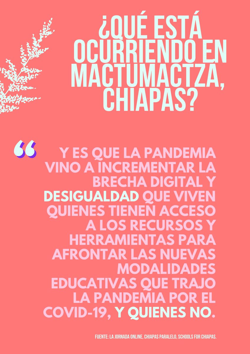 TallerAhuehuete's tweet photo. ¿Qué está ocurriendo en #Mactumactzá, Chiapas? https://t.co/4kzOcsU1xu