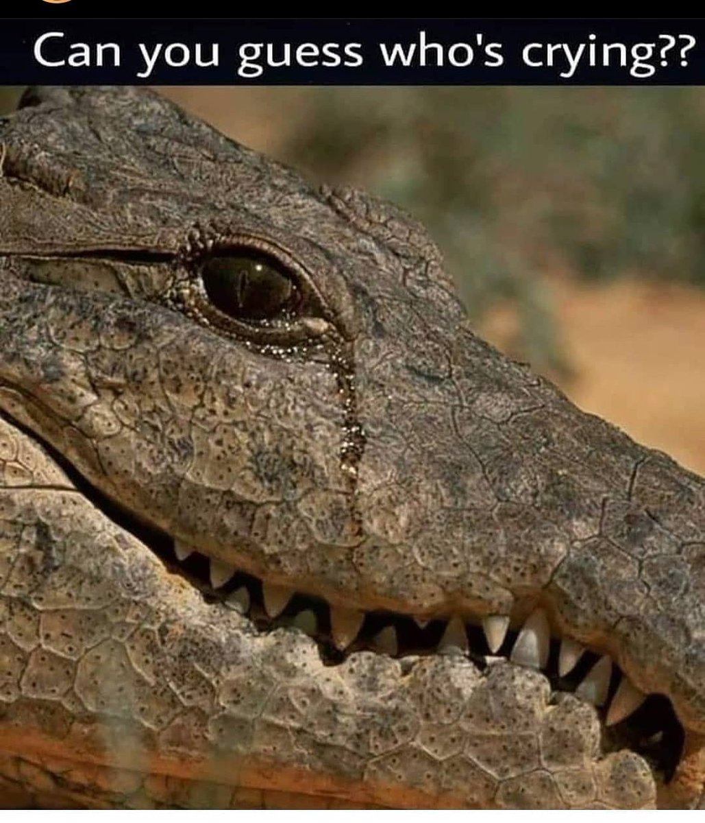 iamrajt's tweet photo. I cracked so hard on this 😂😂 #viaig https://t.co/HgFEhlc5y8