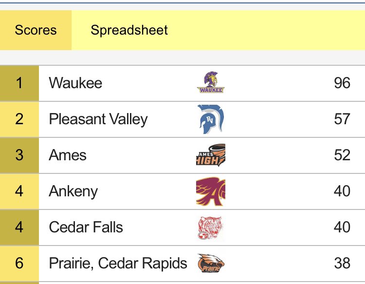 A top 5 team finish. 
Multiple state champions. 
6 Drake medalists 
A conference championship for the first time in 17 years. 

These ladies put Ankeny Track back on the map!