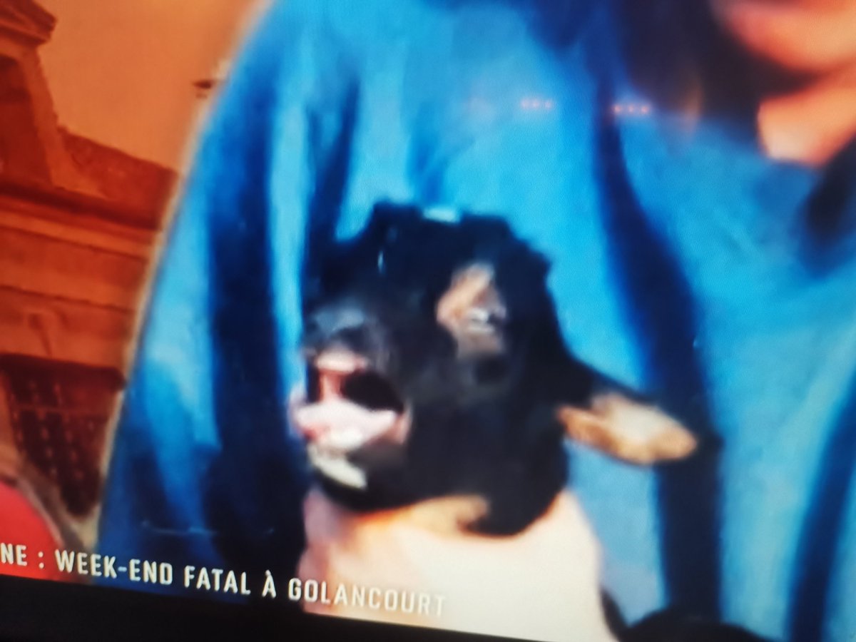 #enquetescriminelles <a href="/tfx/">TFX</a> j'aime tellement cette photo d'illustration ce soir !