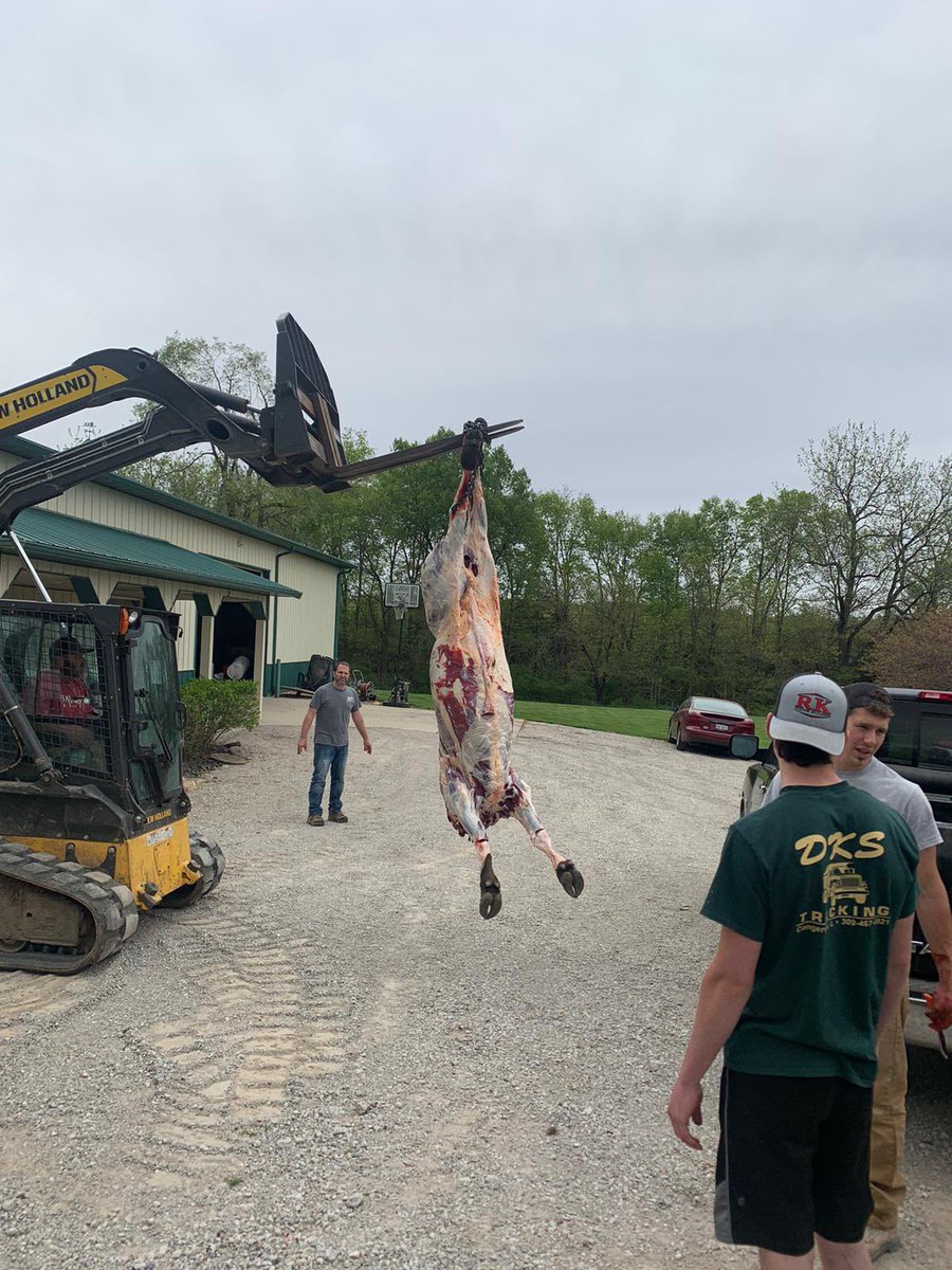 ErikWiegand1's tweet photo. New experience for our little butcher shop. Broke down and butchered two bison. So thankful to be a carnivore. #meateveryday https://t.co/pINxqjn2cO
