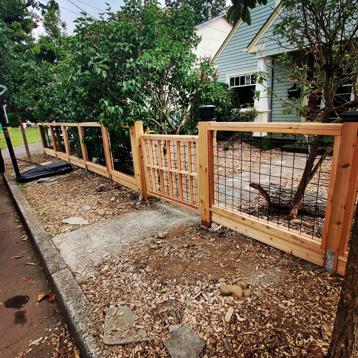 Hogwire fence done yesterday. Great alternative to an ordinary metal fence