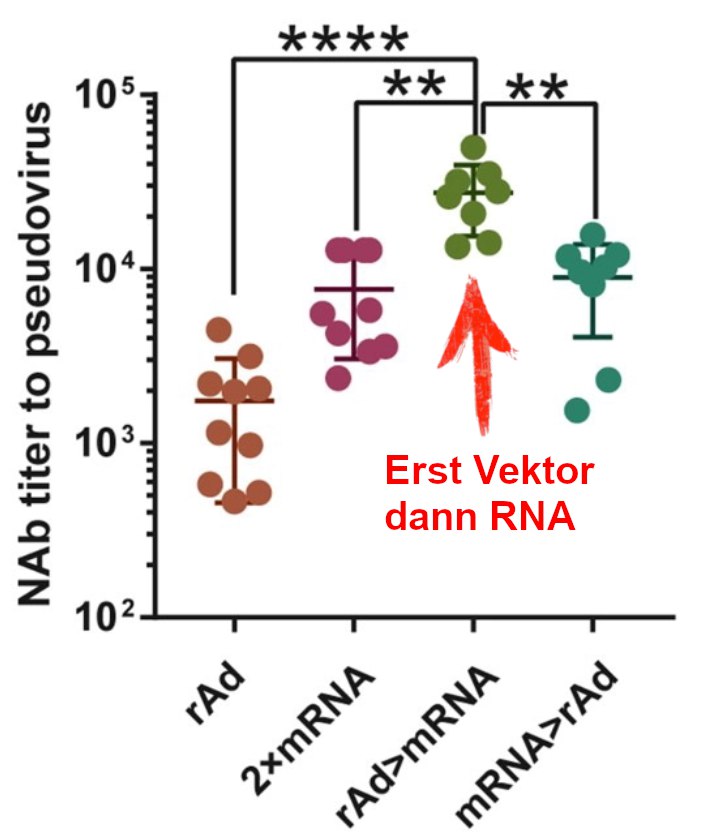 E2B9Oo_X0AAxtSO?format=jpg&name=900x900