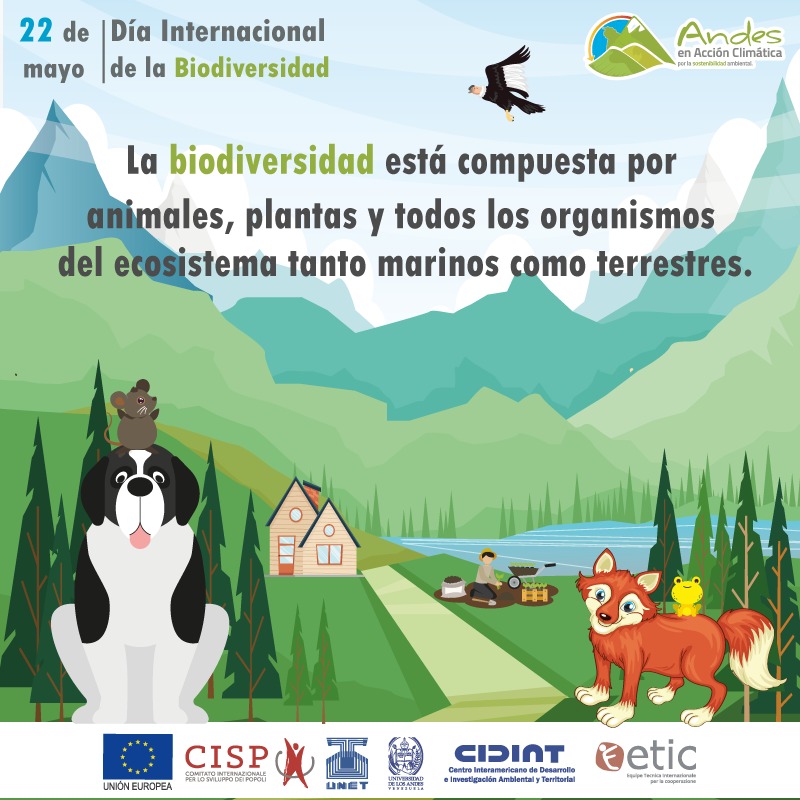 AClimatica's tweet image. Desde el proyecto Andes en Acción Climática te invitamos a celebrar el Día Internacional  de la Biodiversidad, contribuyendo a preservar los hábitat naturales de todas las especies, especialmente las que se encuentran en peligro de extinción.
#PorLaSostenibilidadAmbiental