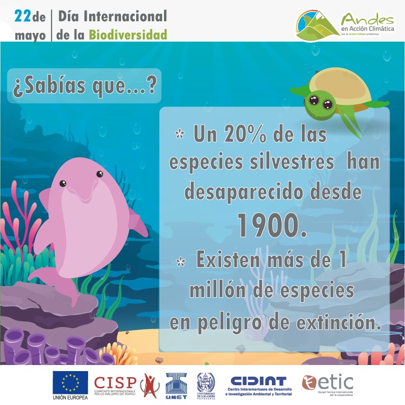 AClimatica's tweet image. Desde el proyecto Andes en Acción Climática te invitamos a celebrar el Día Internacional  de la Biodiversidad, contribuyendo a preservar los hábitat naturales de todas las especies, especialmente las que se encuentran en peligro de extinción.
#PorLaSostenibilidadAmbiental