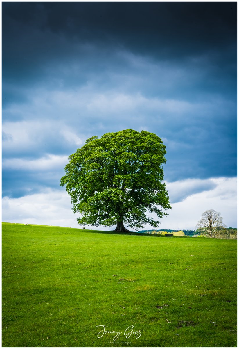 Supergios's tweet photo. Outing to #kirkbylonsdale for to celebrate our nieces 21st β€οΈ @_eleanorjane27 #cumbria #trees #ruskinsview https://t.co/CJBdlAClJR
