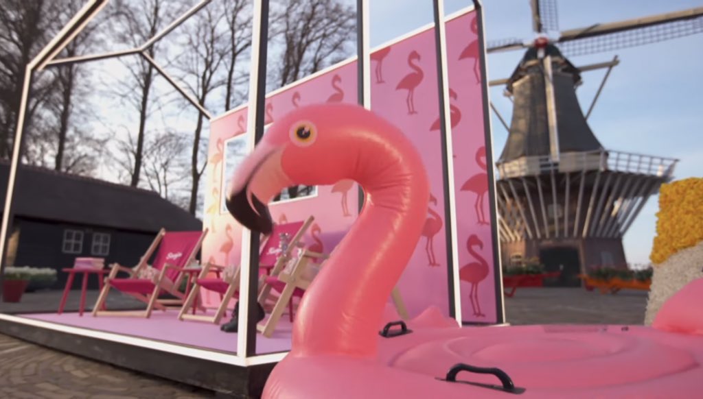 lovesamaiju's tweet image. LOS FLAMENCOS ESTÁN REPRESENTADOS 🦩 #Eurovision #flamantha