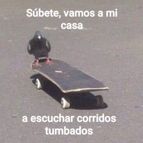 AslanMoonkey's tweet photo. @Viciousito https://t.co/m2Ihmu2Xwi