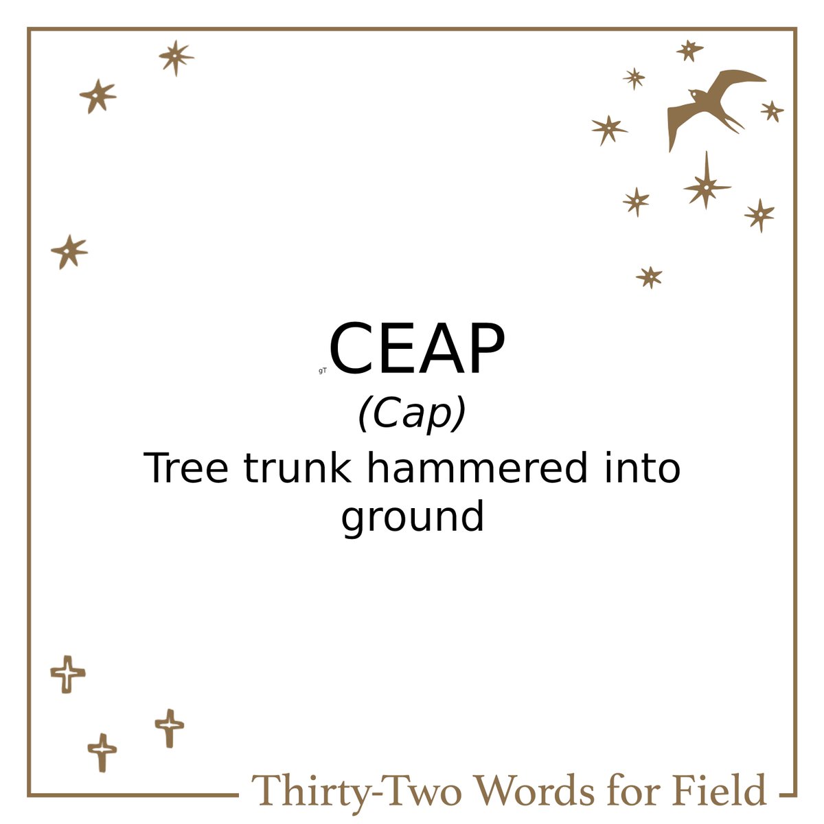 Manchán Magan tweet media