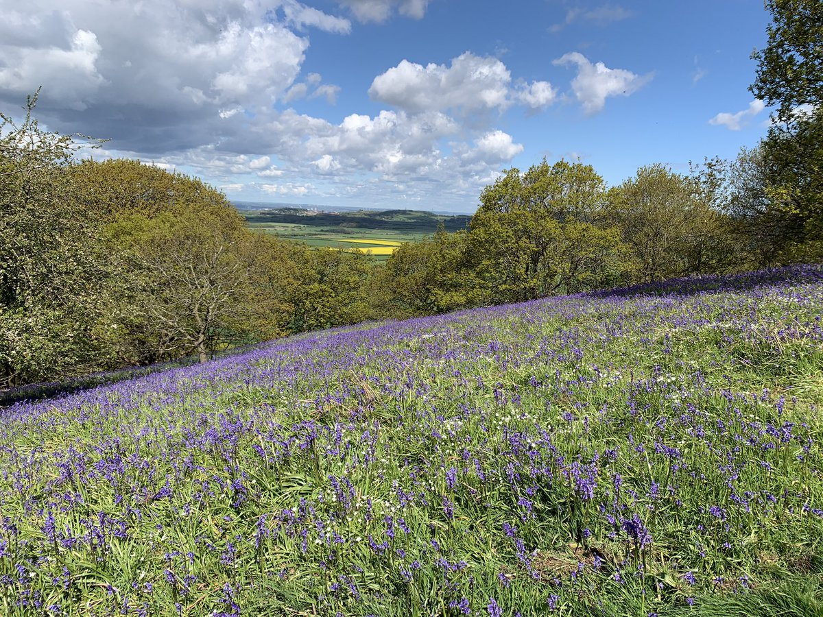 Jessica Harrison tweet media