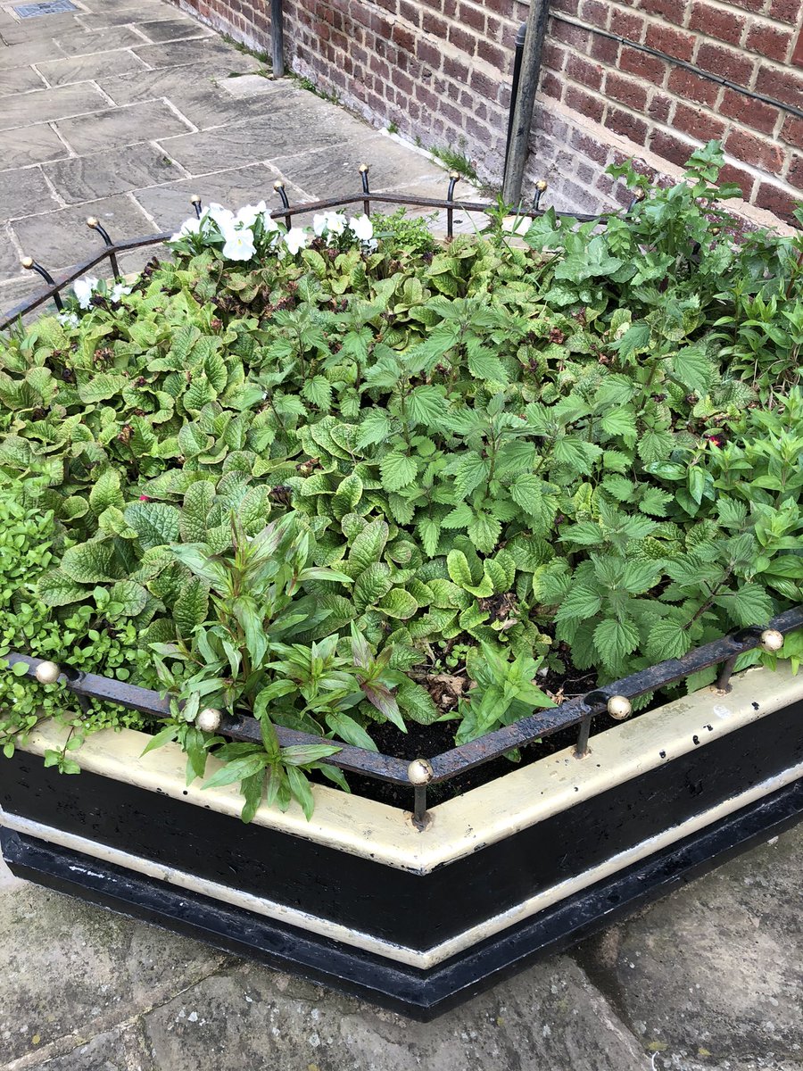 Richard Dowson tweet media