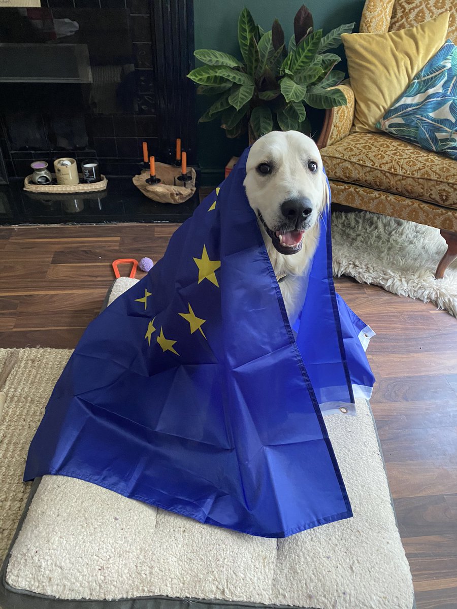 Milly May tweet media