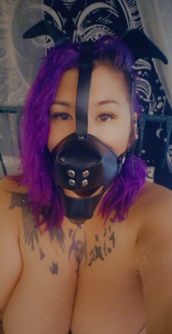 New puppy play folder uploaded!  Be sure to subscribe and follow for all private and exclusive content