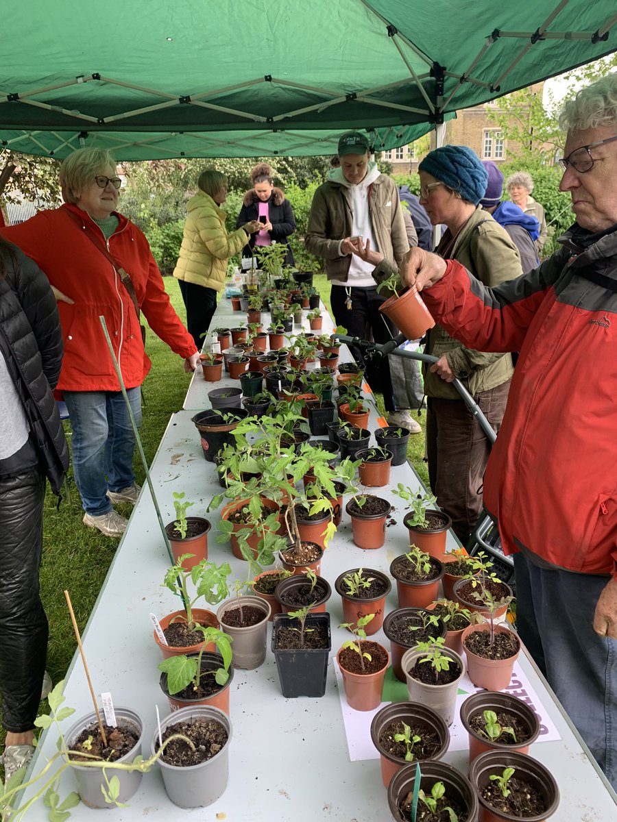 Thankyou for coming and bringing such amazing plants - lovely to see everyone ! And chat ! now we just need the sun to make them grow !