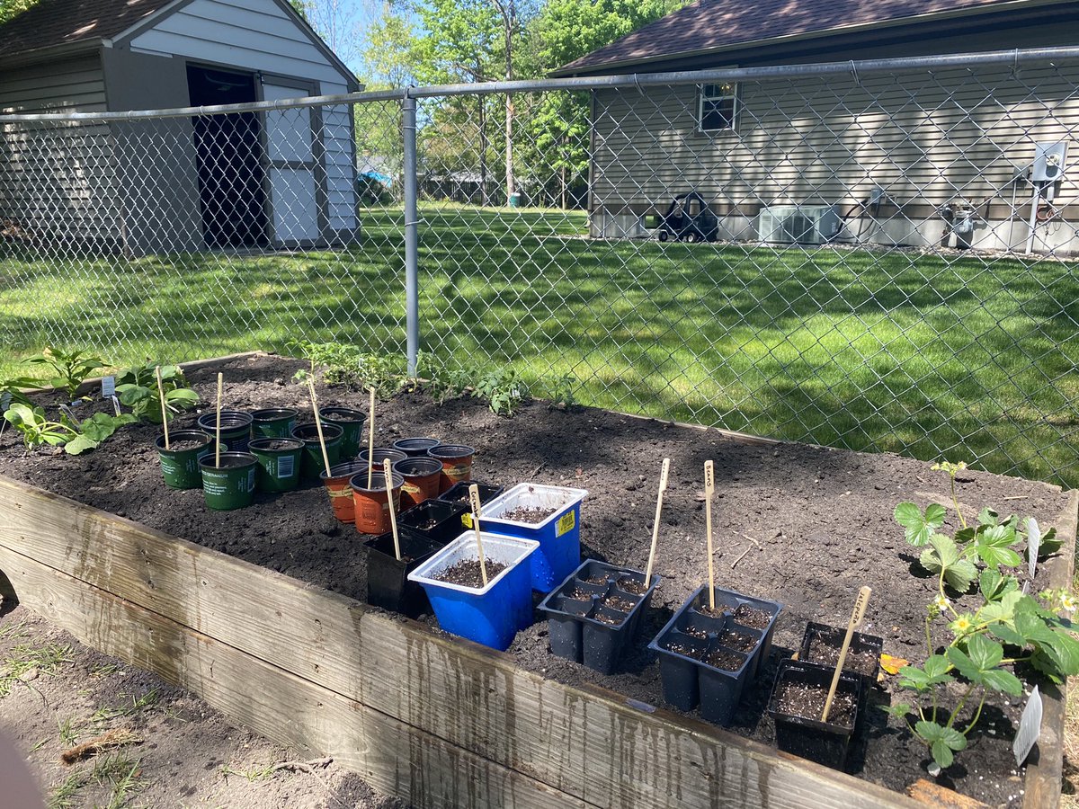 breezyandbrazen's tweet photo. The gardening has begun! https://t.co/l83Y0sojbE