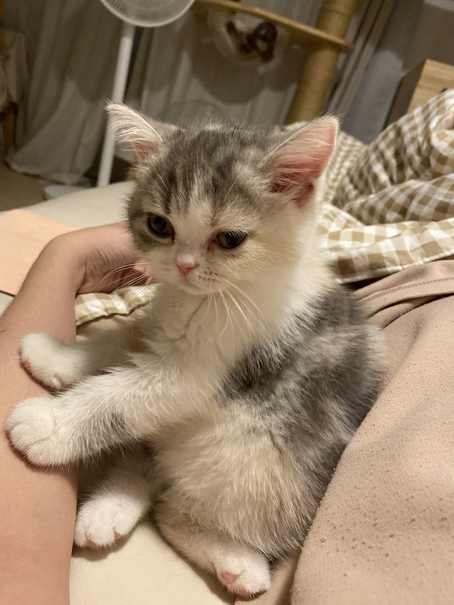 งอนที่โดนป้อนยาแต่ก็ต้องมานอนด้วย😕