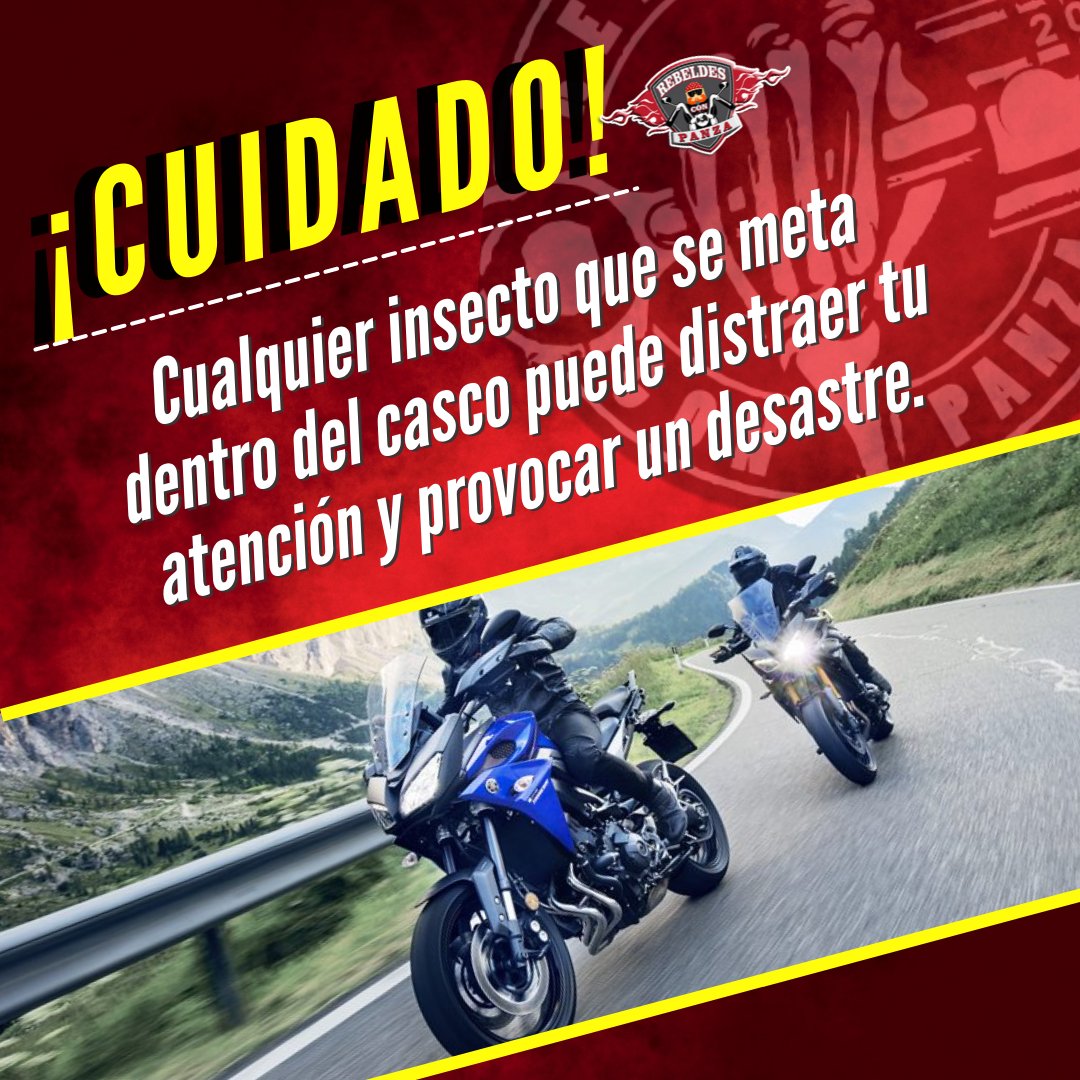 rebeldeconpanza's tweet photo. 🏍 Imagina que se cuele en el casco una araña, mosca, o abeja, ¿qué haces? La situación vista desde fuera puede ser tan cómica como trágica. 
🏍 ¡Rueda bien, rueda libre, rueda seguro!
🌐 Visìtanos en https://t.co/M13JV2h1Nv
#motociclismo #mayoaniversario #RebeldesConPanza https://t.co/KKuSR7v8Rs