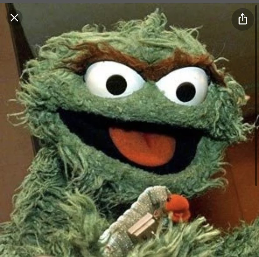 Staygay's tweet photo. So that’s what grouch would look like it you shaved him! #Eurovision https://t.co/ZNINQd6FQN