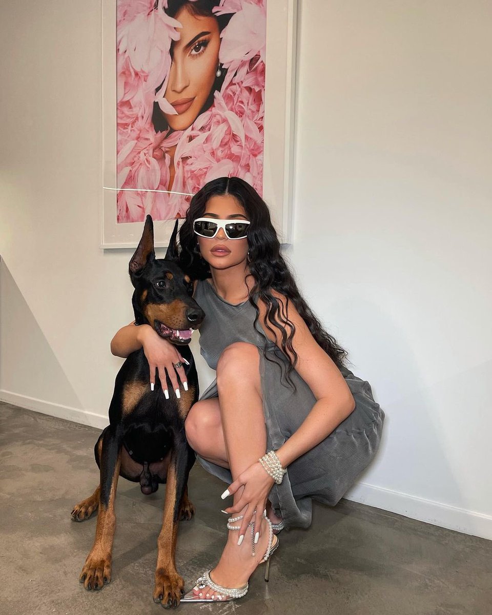 TheCircleV_'s tweet photo. Bárbara @Barbaraugusto 

— Meu melhor amigo!! 🐶

#TCV4 https://t.co/i4Y2uRqUl3