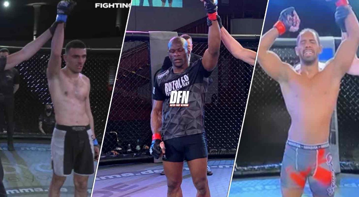 Dutch Fight Network tweet media
