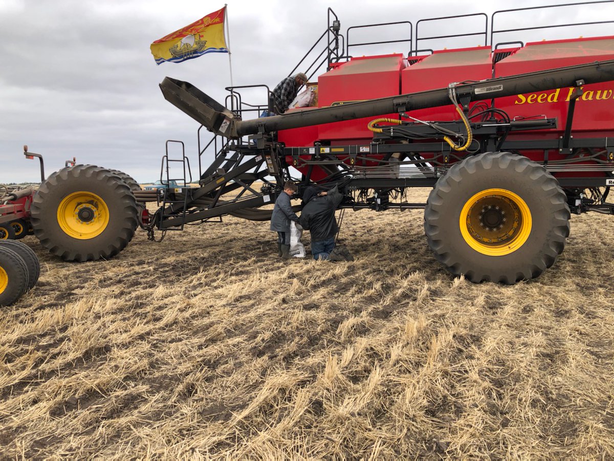 Got our annual <a href="/NutrienAgCda/">Nutrien Ag Solutions Canada</a> canola plot finished this morning. Thanks to <a href="/ProvenSeed/">Proven Seed</a> and <a href="/DEKALB_Canada/">DEKALB Canada</a> for the eight different varieties. Thanks <a href="/QuinneyJess/">Jessica Quinney</a> for the picture