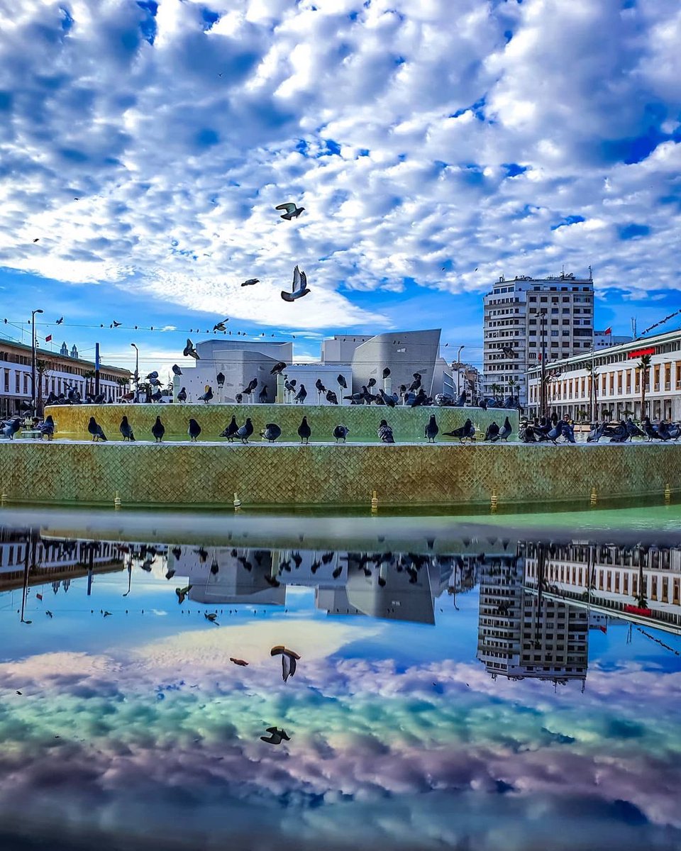 moroccanjournal's tweet photo. Casablanca 🇲🇦 https://t.co/gFb1GhTmFX