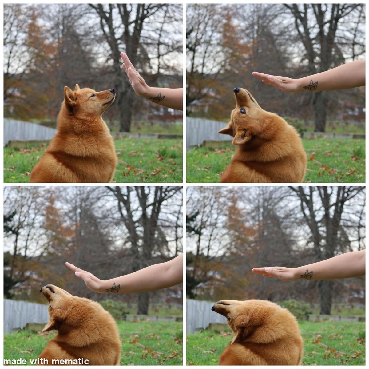 TrentTrouble's tweet image. Anytime someone wants to get close to me. #oldcodger #emptyinside