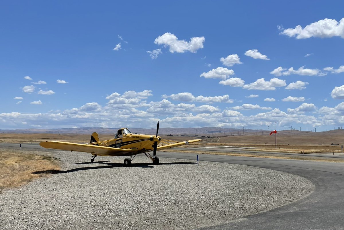 Dean Hickman-Smith tweet media