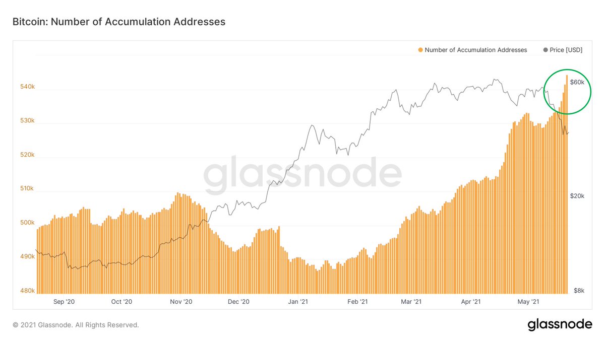 WClemente's tweet photo. New all-time highs in Accumulation Addresses every day throughout this dip. https://t.co/PeLvAf3BUG