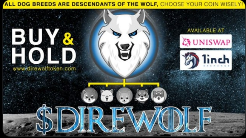 Alb47263416's tweet photo. @Poloniex @InuKishu Replying to 
@Poloniex
 and 
@InuKishu
$DWOLF - WE EAT PUPPIES FOR BREAKFAST. AAAUUUUU Wolf faceWolf faceWolf face
#direwolftoken to the moon RocketRocket https://t.co/uAO6yacSeK