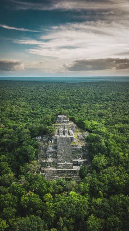 Calakmul es el 2o. bosque tropical más extenso en América; con 358 especies de aves, 75 de reptiles, 31 de peces, 380 de mariposas, 86 de mamíferos y 1500 de plantas. Su distribución es resultado de la actividad humana de cientos de años #DíaInternacionalDeLaBiodiversidad