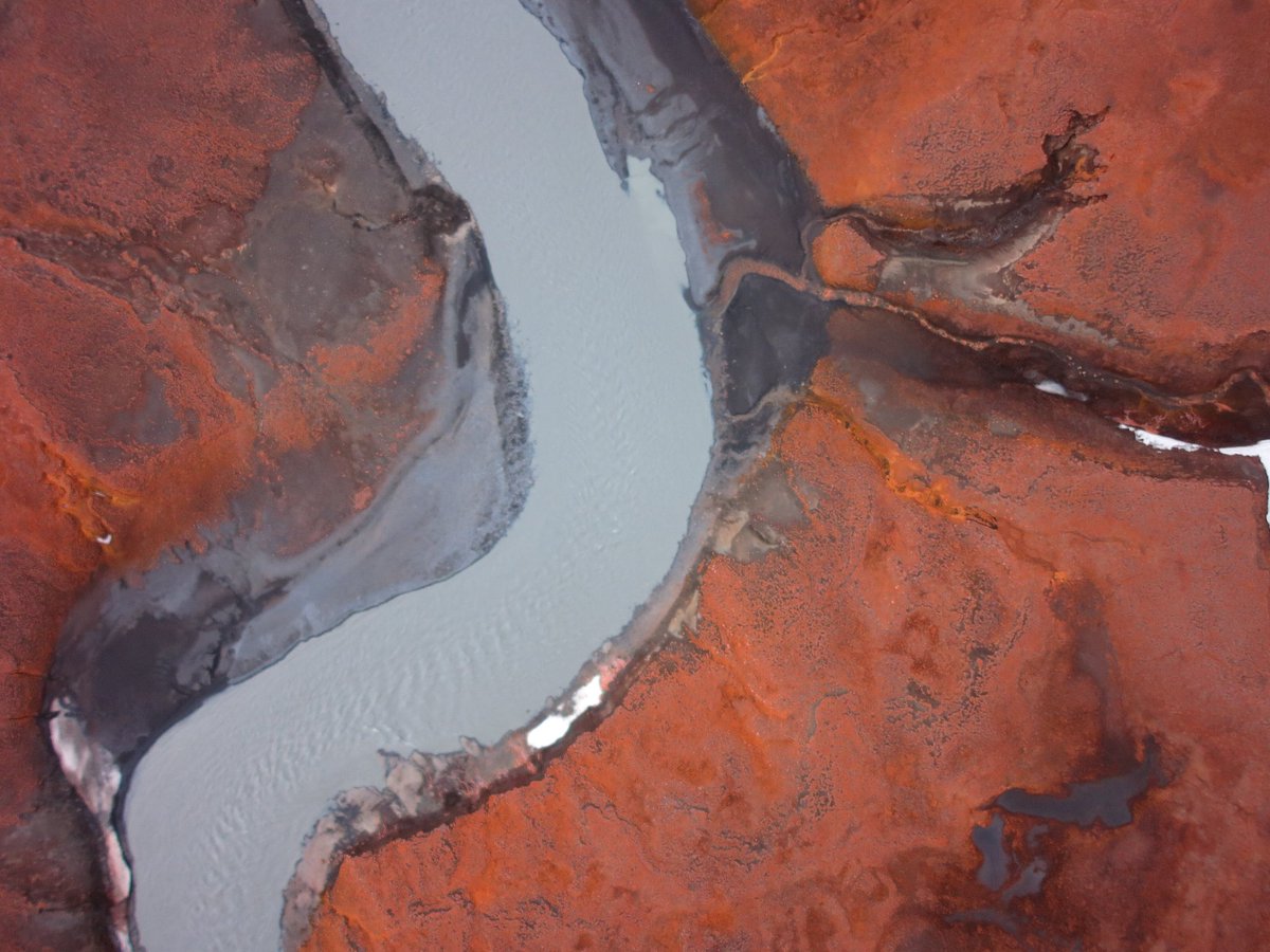 International #BiodiversityDay is today! Let's be a part of the solution, let's reverse the trend of declining biodiversity, it starts with data!