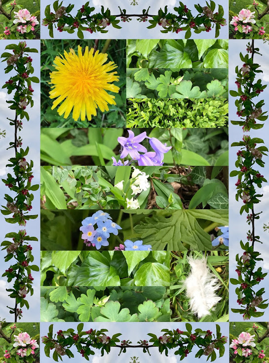 stevenjfowler's tweet image. Further brilliant work on The Writing Eye: a course I'm running on photo and film-poetry. poembrut.com/courses Made this week in response to the theme of OF, poems made of photos. Remarkable from @ailsaholland @fierydes @berlinreified @dan_weldon