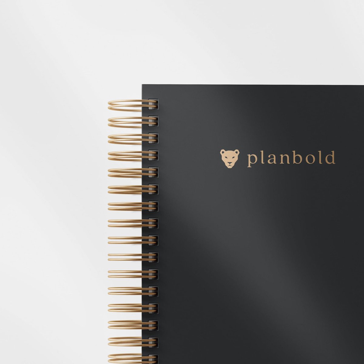 planboldplanner's tweet photo. As moms and professionals, we were inspired to create planbold. It is our sincere hope that our products will help you create balance in your daily lives in the same way they have for us.  Follow us for updates! #planner #momlife #smallbusiness https://t.co/rNKVohLLut