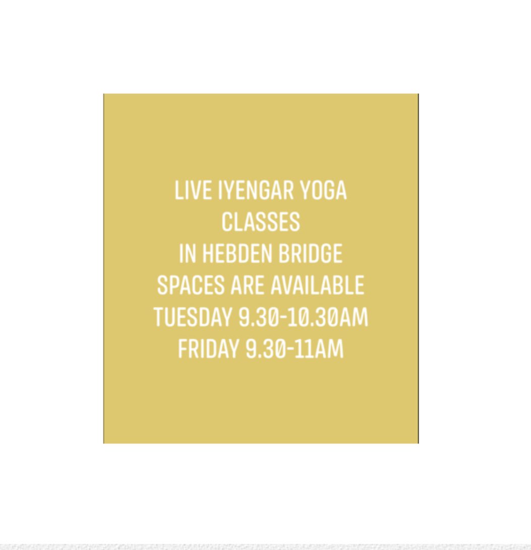 LIVE YOGA CLASSES 
If you would like to join a live iyengar yoga class, I have spaces available on;
Tuesday 9.30-10.30am 
Friday 9.30-11am
#yogaclasses #hebdenbridge #iyengaryoga #iyengaryogateacher #movementismedicine