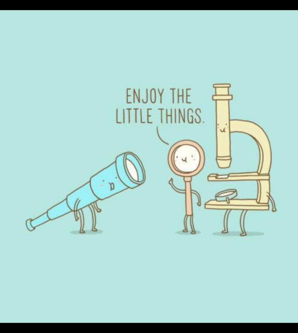 InMicroscopy's tweet photo. One day to enjoy the little things🤩 excited to see you guys at the #EA_microscopy workshop 2021 #awesome #ChallengeAccepted @ah_disani @brian_k_matovu @enjoy_your_PhD @NtambiSaidi1 @Tracyjayo @SamLeareng good night y'all! https://t.co/1WmTwcBlQE