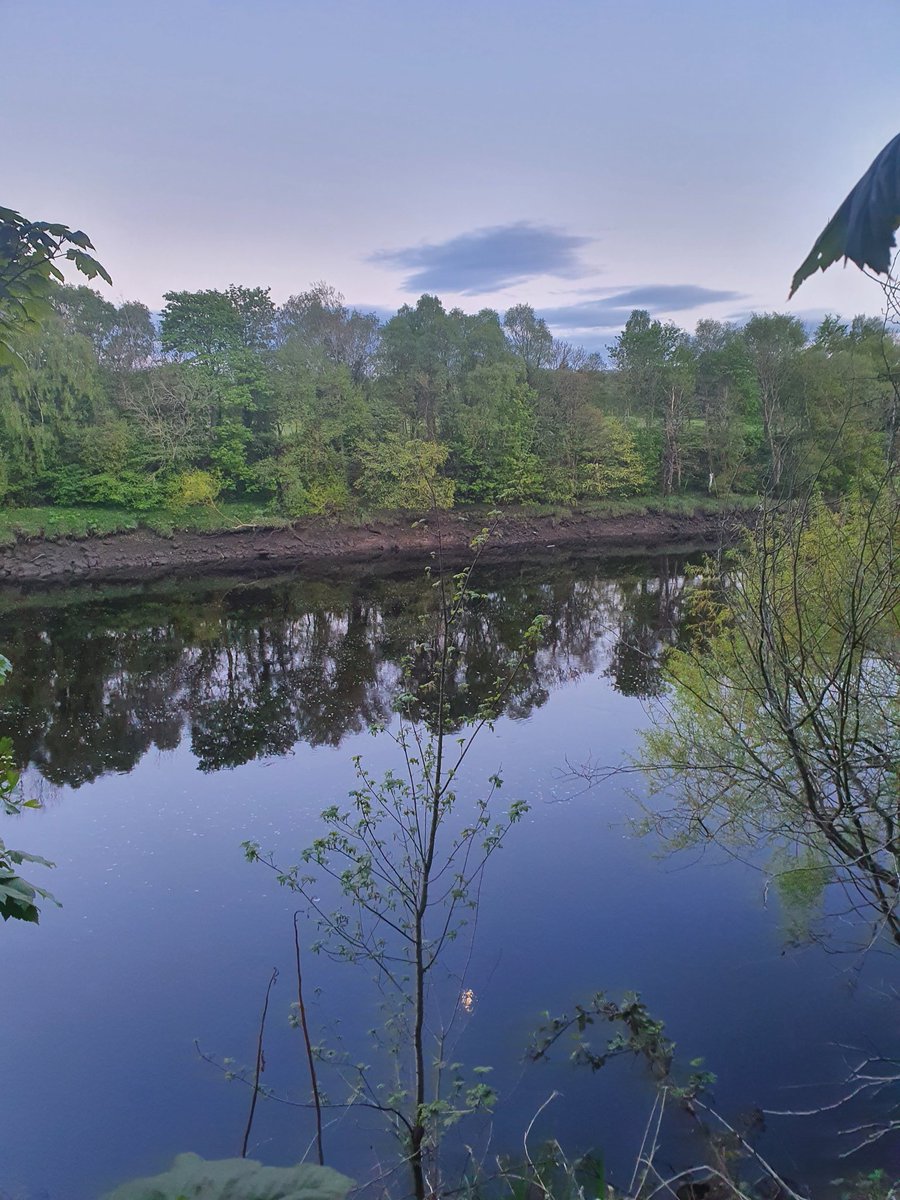 AngelaCairns12's tweet photo. An evening walk to get some steps in for #MoveMore for @NewcastleHosps If you look carefully you can see the bright moon reflected in the river. Come on IPC teams, Ladies in red 😁 #8000steps @952cobb @janiechat99 @muchaelstephens @estalaverick @KimWilliamsDav1 https://t.co/pI4Wyd5g8m