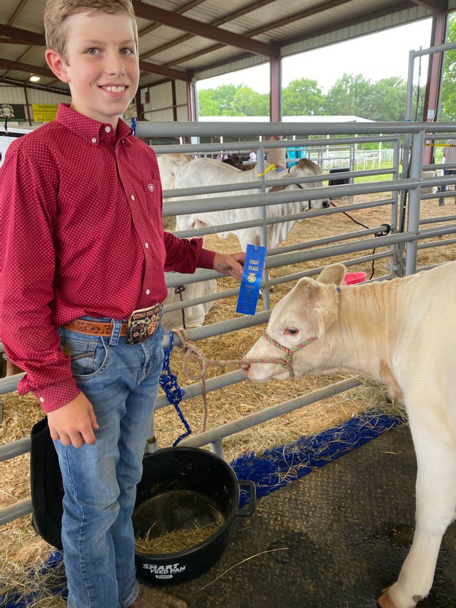 cantonffa's tweet image. 💙💛🐂 Martins Mill FFA Show 🐂💛💙

Gabe Beverly placed 2nd with his Shorthorn, Caiti Beverly placed 2nd with her Simmental, &amp;amp; Clay Conway won his class with his new Charolais - and had a pretty eventful first outing!