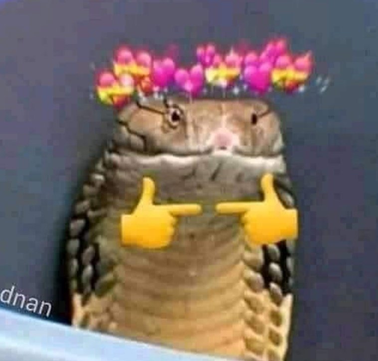 Taneeeshhhhh's tweet photo. Your ex during lockdown https://t.co/DS5Vj5UcKC