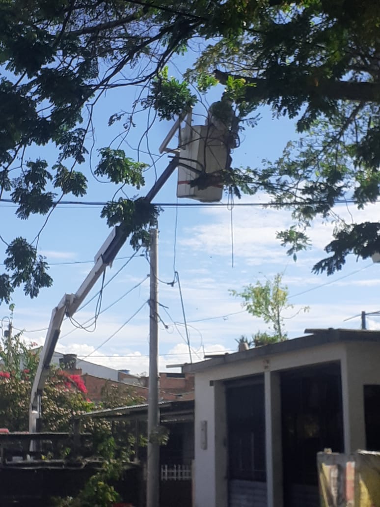 AlcElEspinal's tweet photo. La Administración Municipal, la Oficina de Gestión Del Riesgo y de Desastre Municipal, en coordinación con el cuerpo de bomberos voluntarios de El Espinal y la empresa Iluminar, realizaron la poda de un árbol, en barrio Balkanes, https://t.co/WysMEH45W7