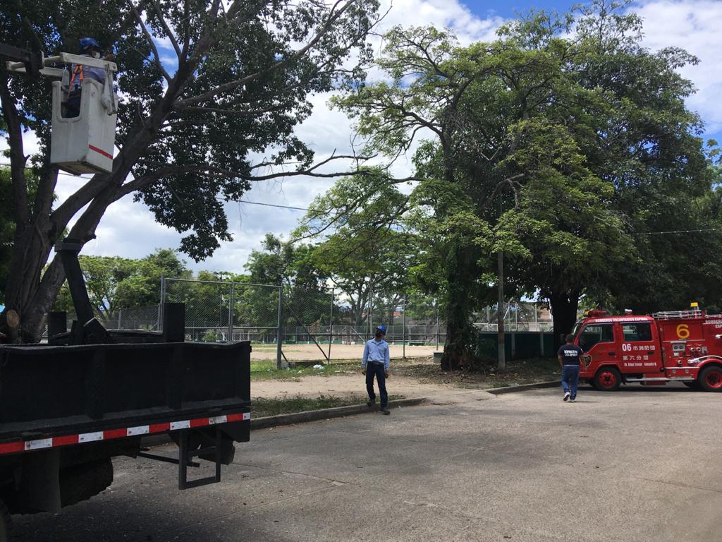 AlcElEspinal's tweet photo. La Administración Municipal, la Oficina de Gestión Del Riesgo y de Desastre Municipal, en coordinación con el cuerpo de bomberos voluntarios de El Espinal y la empresa Iluminar, realizaron la poda de un árbol, en barrio Balkanes, https://t.co/WysMEH45W7