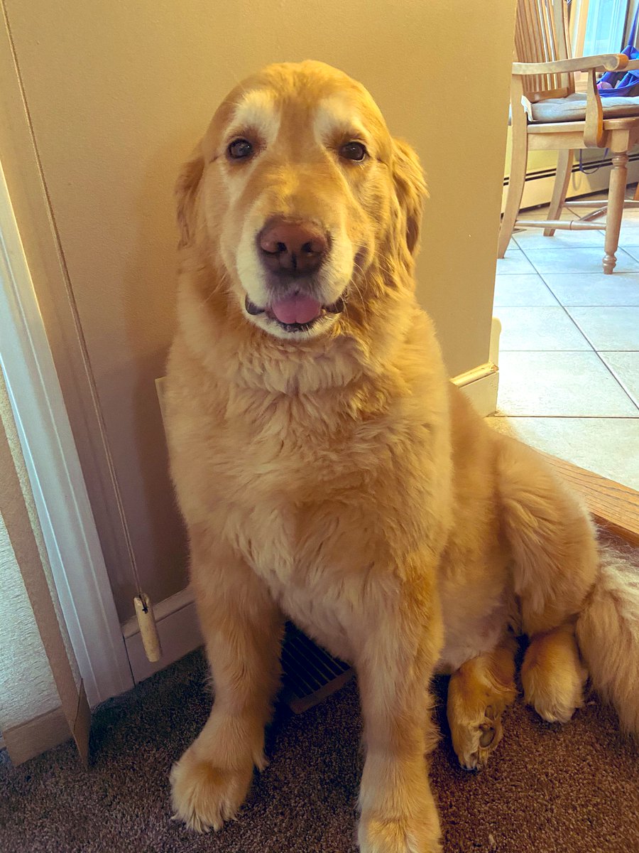 Someone is in his new favorite spot hogging all the AC again 😂