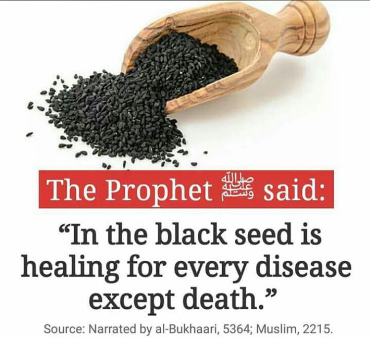 ____Muslim___'s tweet image. 