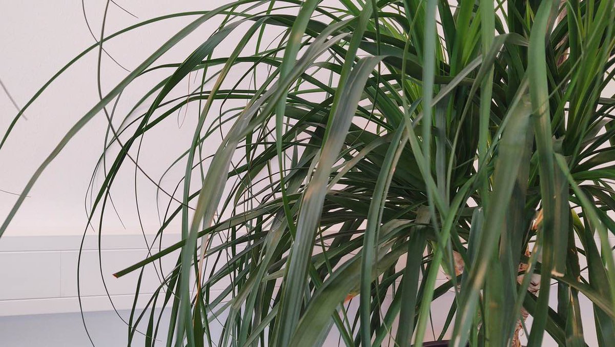 presseticker's tweet image. Mit SEO mehr Sichtbarkeit in Zürich pr-gateway.de/s/402464

#SEO #SEOOptimierung #SEOOptimierer #Suchmaschinenoptimierung #LocalSEO