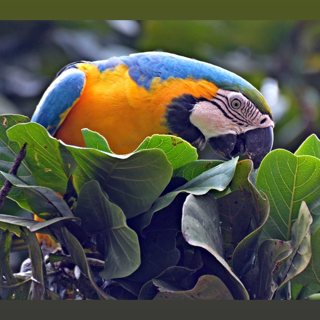 vaniamenegassi's tweet image. Toque no impossível, olhe além das possibilidades, tenha visão de águia. Se você quer, você pode, mas acima de tudo confie em Deus, porque Ele é a âncora da nossa vida!