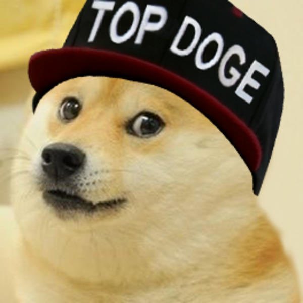caddyjones1's tweet photo. @evolvedzn @elonmusk TOP DOGE https://t.co/vwWHIkWeO2