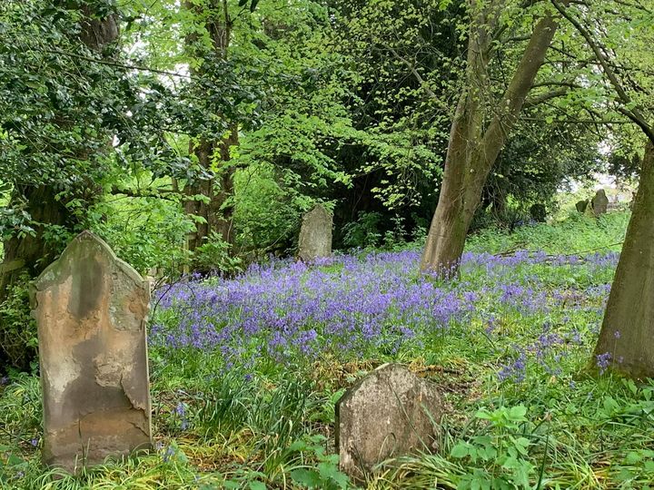 Welcome to our services on Sunday 23rd May 2021 (Pentecost/Whit Sunday) ✝️:

8.00am Holy Communion (in Church)

9.30am Cafe Church ‘Byte Size’ via Zoom (&amp; available to watch later 

youtube.com/channel/UCepaf…)

See holytrinityredditch.org.uk/services/