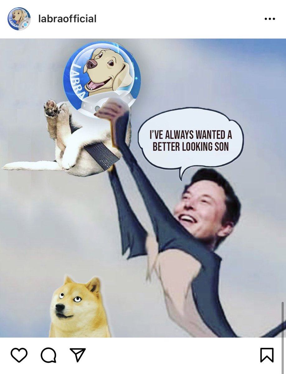 Nouel_47's tweet photo. @traderrocko @elonmusk “$Labra coin TO THE MOON !!! #Labracoin @labracoin “ https://t.co/lnBMwTixl3