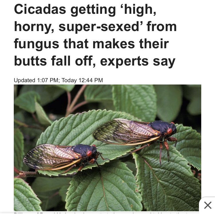 what i say when people ask me where <a href="/mitchoo_oo/">mitchy</a> has been