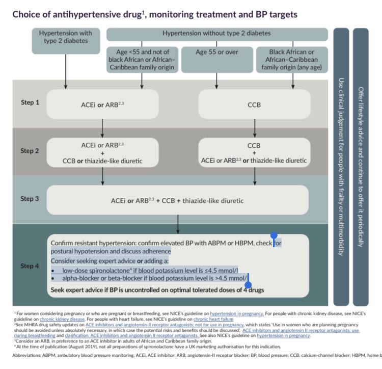Dr. Mike Todorovic 🧠 on Twitter: